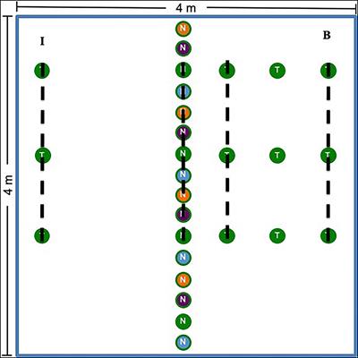 Arbuscular Mycorrhizal Fungi Taxa Show Variable Patterns of Micro-Scale Dispersal in Prairie Restorations